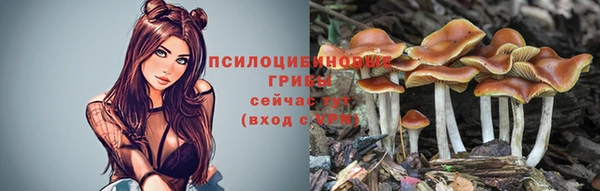 сатива Алзамай
