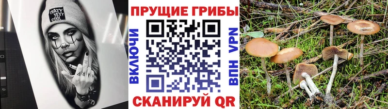 Галлюциногенные грибы мухоморы  Черемхово 