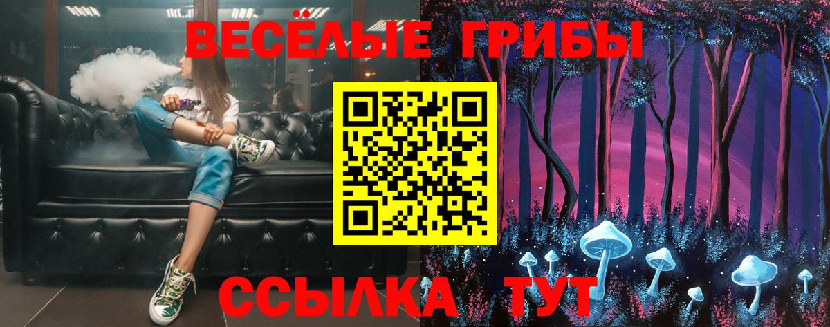 Псилоцибиновые грибы GOLDEN TEACHER Черемхово