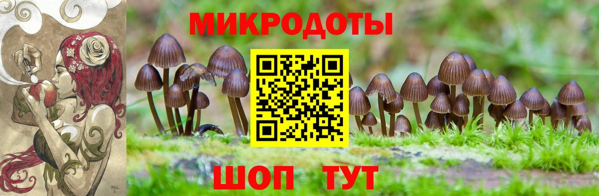 Галлюциногенные грибы Magic Shrooms  Псилоцибиновые грибы GOLDEN TEACHER  Вход с VPN  Черемхово 